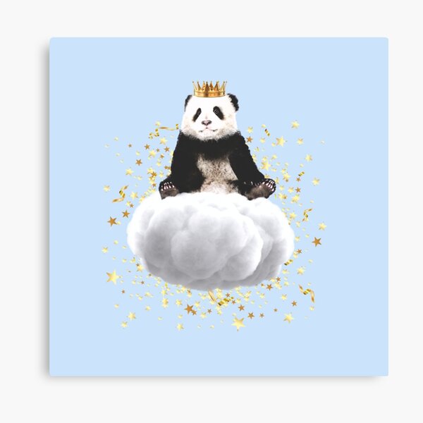 Panda cloud with the stars Canvas Print
