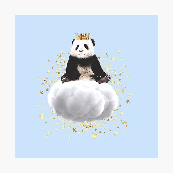 Panda cloud with the stars Photographic Print