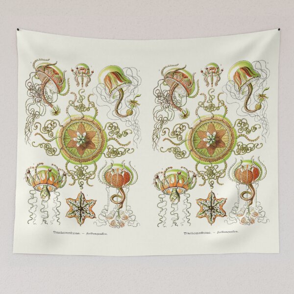 Item preview, Plate 26. Trachymedusae, a group of marine jellyfish. designed and sold by Squirrox.