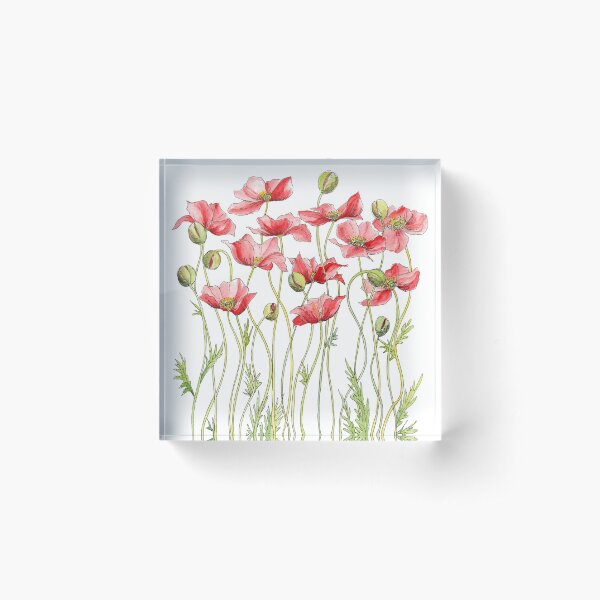 Red Poppies, Illustration Acrylic Block
