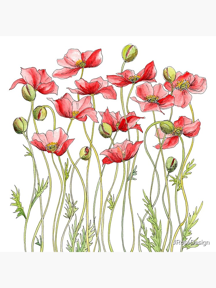 "Red Poppies, Illustration" Acrylic Block for Sale by JRoseDesign