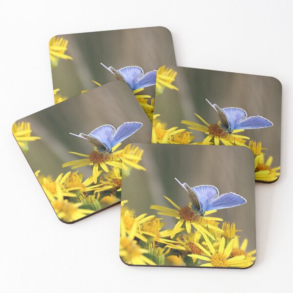 Item preview, common blue butterfly designed and sold by tammy mellor.