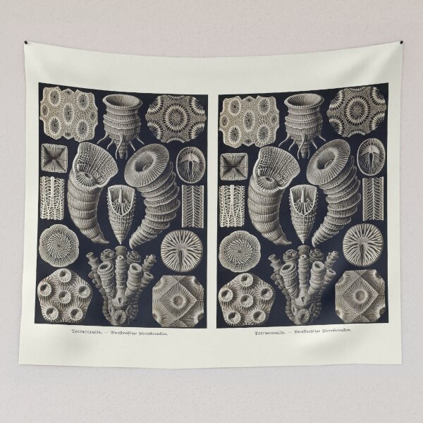 Item preview, Plate 29. Tetracoralla (Rugosa), an extinct order of corals. designed and sold by Squirrox.