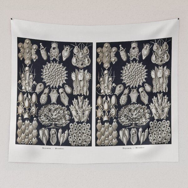 Item preview, Plate 33. Bryozoa, a phylum of aquatic invertebrates, also known as 'moss animals'. designed and sold by Squirrox.
