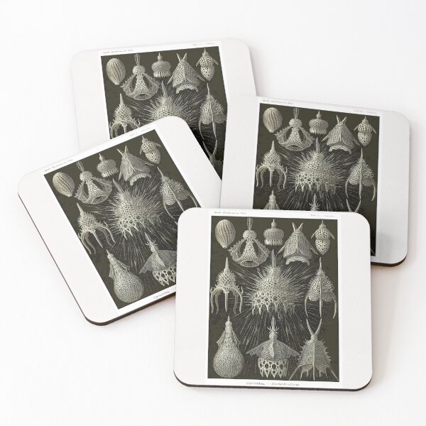Item preview, Plate 31. Cyrtoidea, an extinct superfamily of amoeboid protozoans. designed and sold by Squirrox.