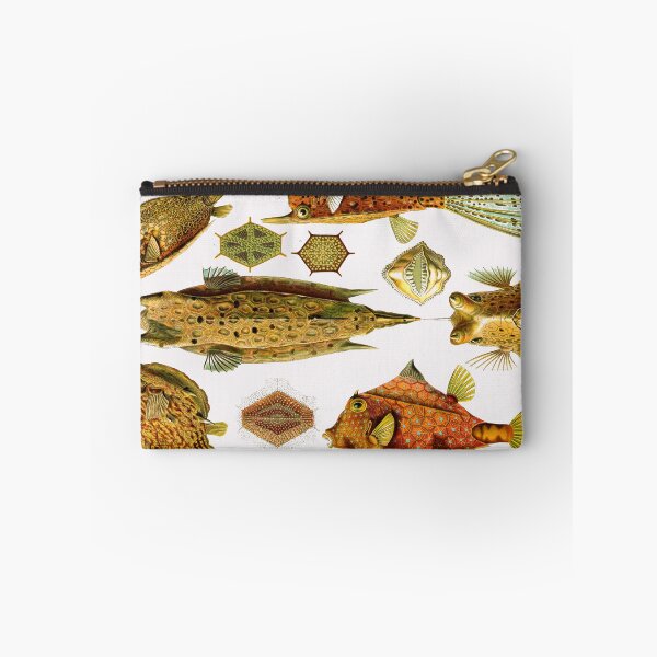 Item preview, Plate 42. Ostraciontes, the old name for boxfish, or cowfish. designed and sold by Squirrox.