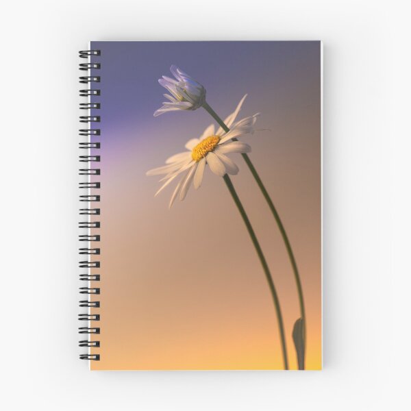 Item preview, Wild white chrysanthemum designed and sold by jiashu xu.