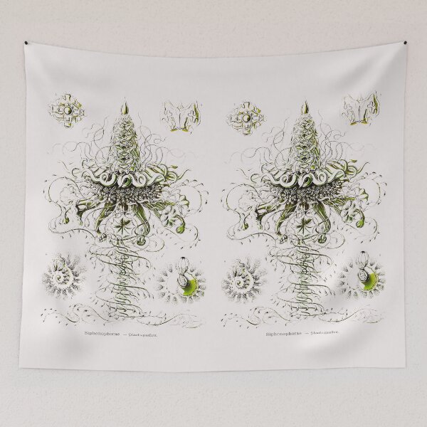 Item preview, Plate 37. Siphonophores, colonial marine invertebrates that can superficially resemble jellyfish. designed and sold by Squirrox.