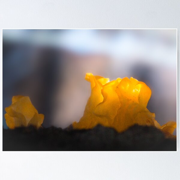 Item preview, Yellow jelly like a candle designed and sold by finnarct.