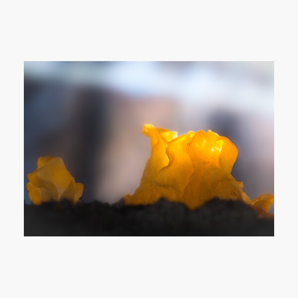 Item preview, Yellow jelly like a candle designed and sold by finnarct.