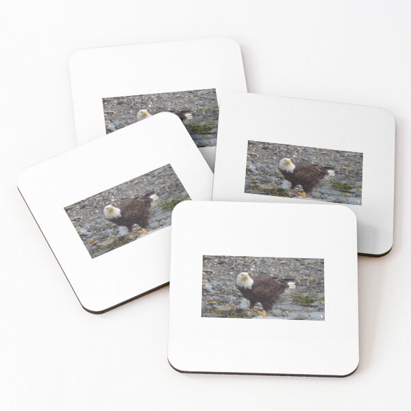 Item preview, Photo of a bald eagle taken in alaska designed and sold by lizdeloro.