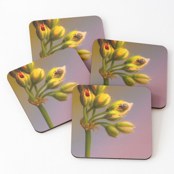 Item preview, sunshine budding flowers and a insect designed and sold by jiashu xu.
