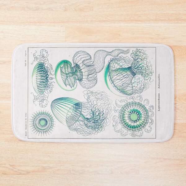 Item preview, Plate 36. Leptomedusae, an order of flattened, saucer-shaped jellyfish. designed and sold by Squirrox.