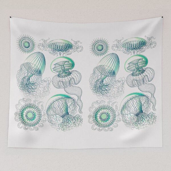 Item preview, Plate 36. Leptomedusae, an order of flattened, saucer-shaped jellyfish. designed and sold by Squirrox.