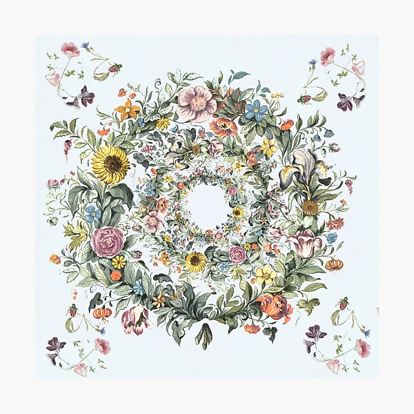 Circle of life - Blue Photographic Print
