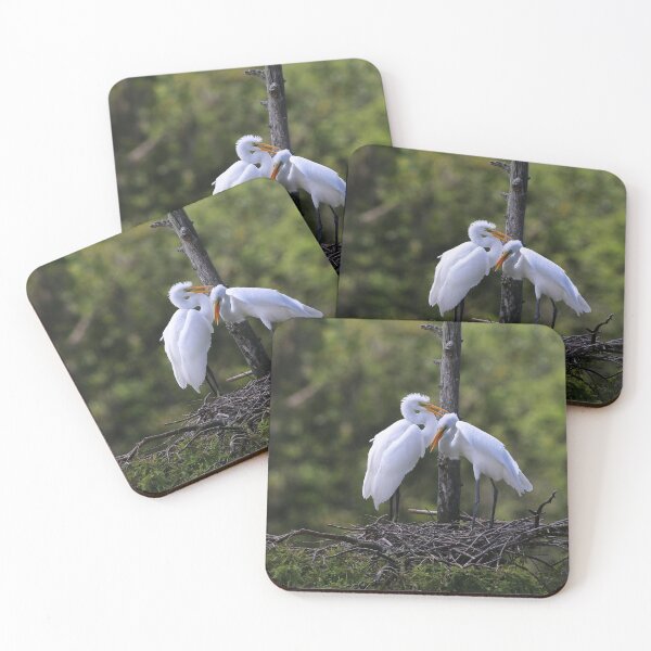 Item preview, Juvenile Great Egrets designed and sold by CarolRMontoya.