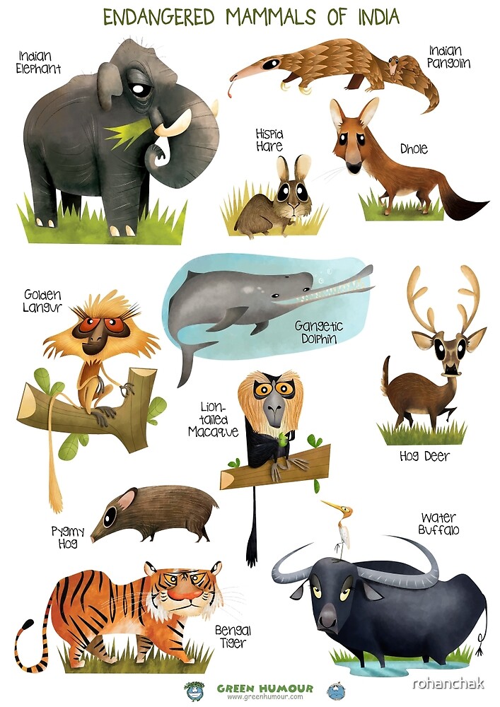 "Endangered Mammals of India" by rohanchak Redbubble