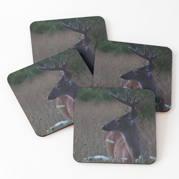 Item preview, At First Light - White-tailed buck designed and sold by James Cumming.