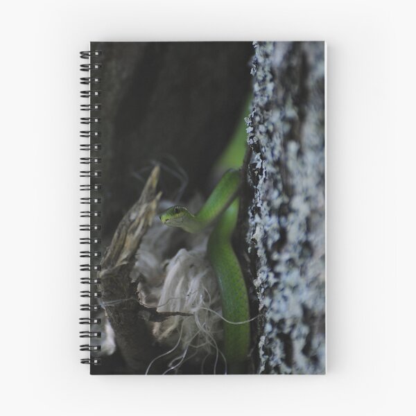 Item preview, Our garden helper designed and sold by lumiwa.