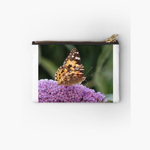Item preview, Painted Lady Butterfly (Vanessa cardui) designed and sold by DonMc.