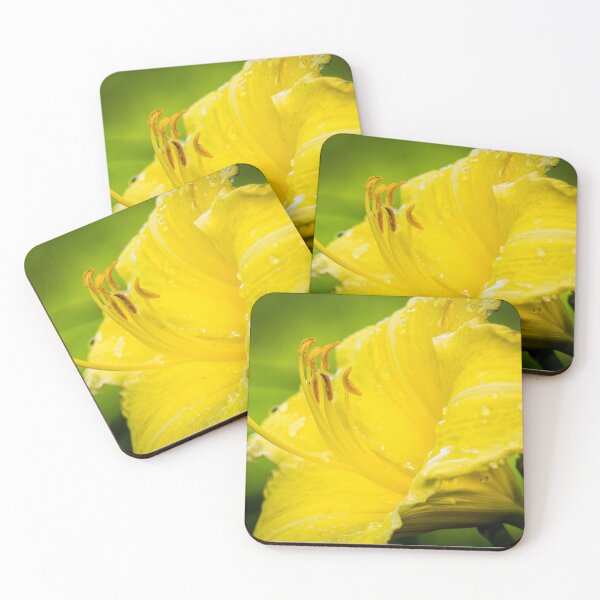 Item preview, Close-up of Yellow Daylily 14 designed and sold by Robert Alsop.