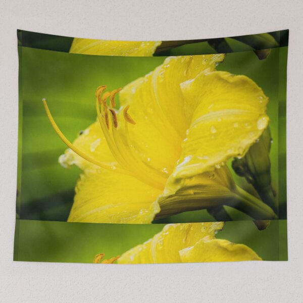 Item preview, Close-up of Yellow Daylily 14 designed and sold by Robert Alsop.