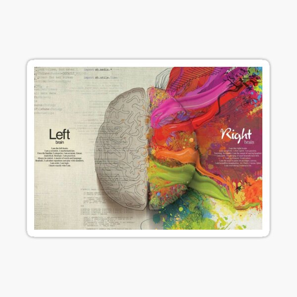 Left Brain Right Stickers | Redbubble