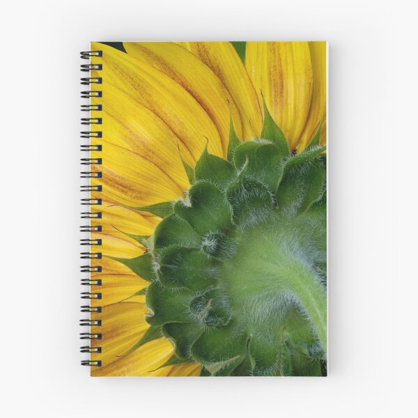 Item preview, Back View of a Sunflower designed and sold by Gerda Grice Photography.