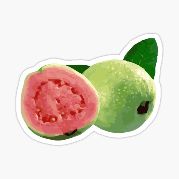 GUAVA Sticker
