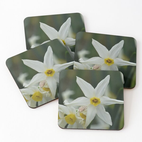 Item preview, White and Bright Jonquils designed and sold by imaginethis.