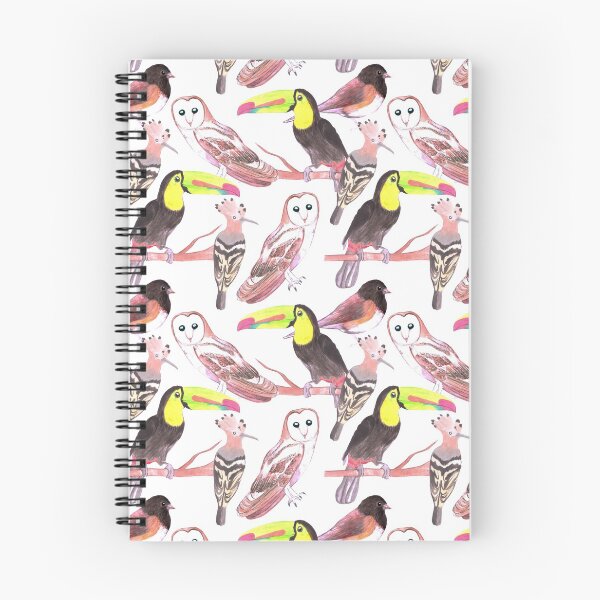 Item preview, Large birds- toucans, juncos, hoopoe and barn owl designed and sold by Shawlin Islam.