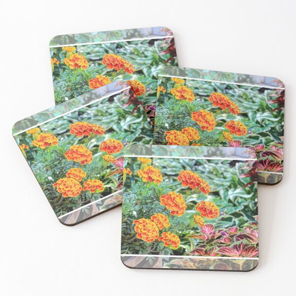Item preview, "Sunshine In A Flower Pot" designed and sold by wiscbackroadz.