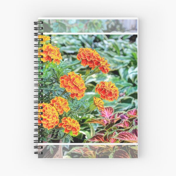 Item preview, "Sunshine In A Flower Pot" designed and sold by wiscbackroadz.