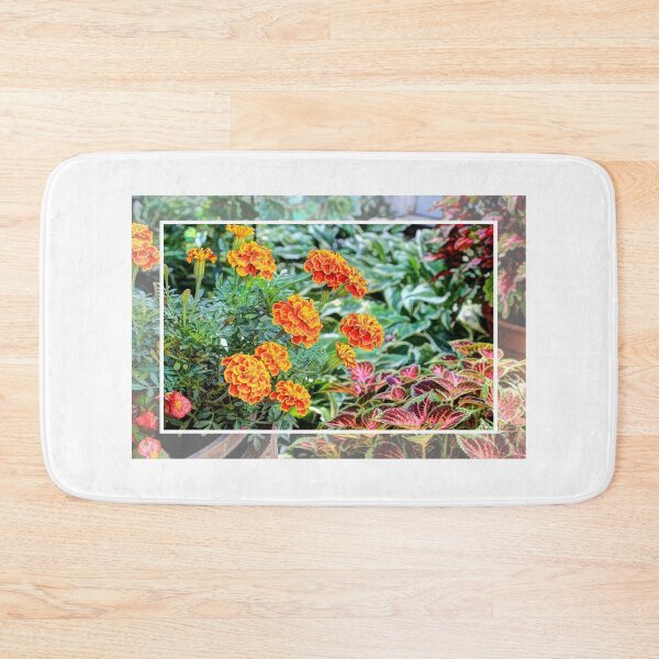 Item preview, "Sunshine In A Flower Pot" designed and sold by wiscbackroadz.