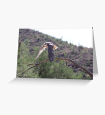 "Little Raptor" Greeting Card