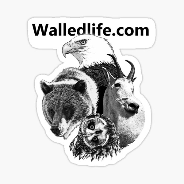 Walledlife.com Sticker