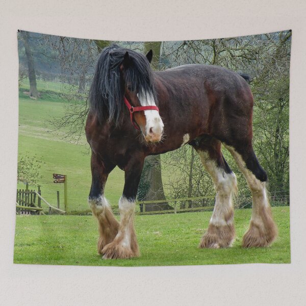 Item preview, Shire Horse designed and sold by AnnDixon.