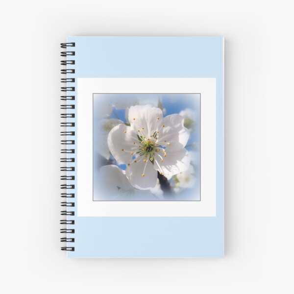 Aperçu de l'œuvre Une fleur de cerisier créée et vendue par sheSzen.