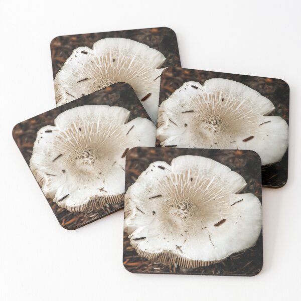 Item preview, Big 'Shroom! designed and sold by heatherfriedman.