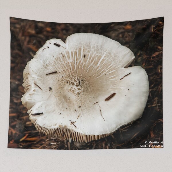 Item preview, Big 'Shroom! designed and sold by heatherfriedman.