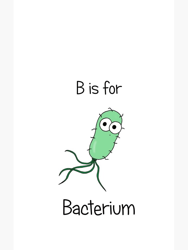 B is for Bacterium by AdrienneBody