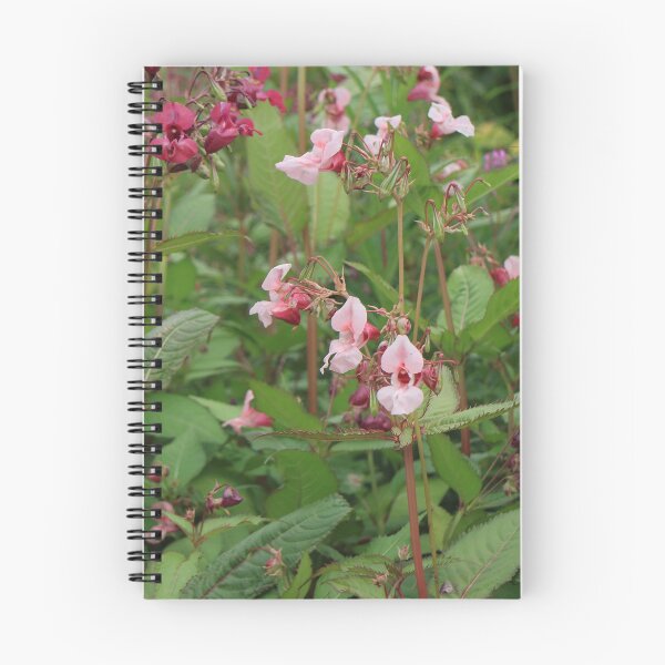 Item preview, Himalayan balsam flowers designed and sold by mrivserg.