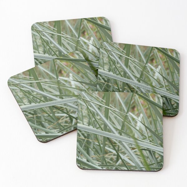 Item preview, Sharp cattail leaves designed and sold by mrivserg.
