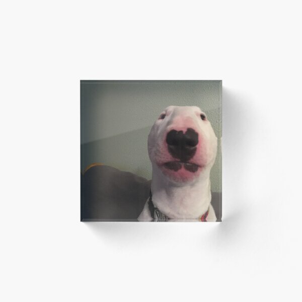 @PupperNelson: "Walter" Original Acrylic Block