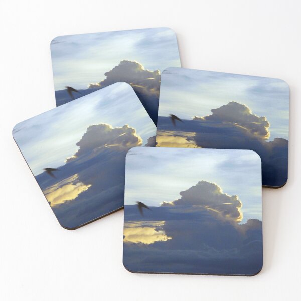 Item preview, ©HCS Golondrina IA. designed and sold by OmarHernandez.