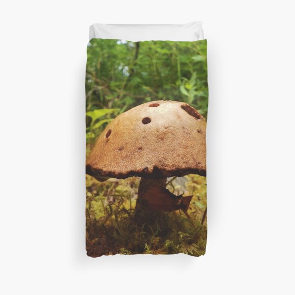 Alaska Mushroom - unidentified type Duvet Cover