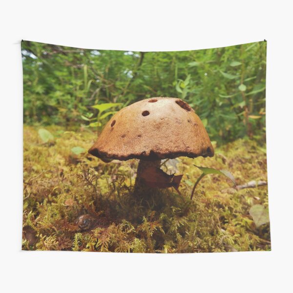 Alaska Mushroom - unidentified type Tapestry