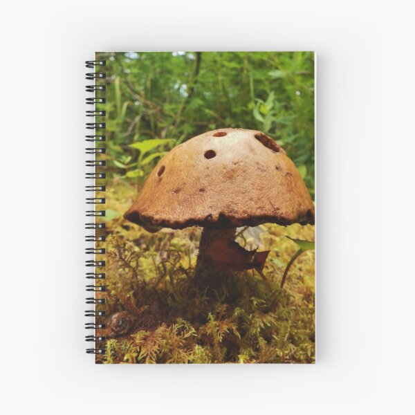 Alaska Mushroom - unidentified type Spiral Notebook