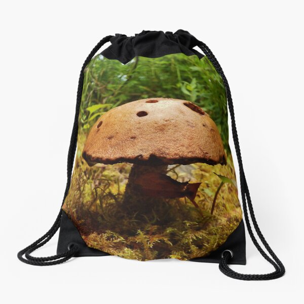 Alaska Mushroom - unidentified type Drawstring Bag