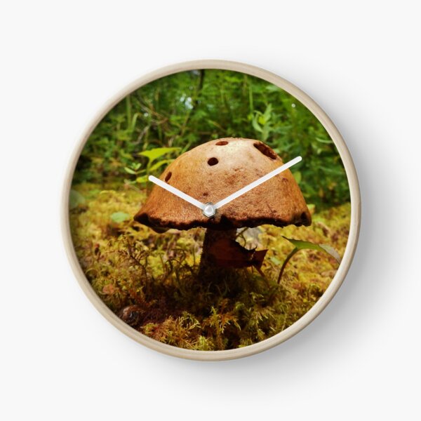 Alaska Mushroom - unidentified type Clock